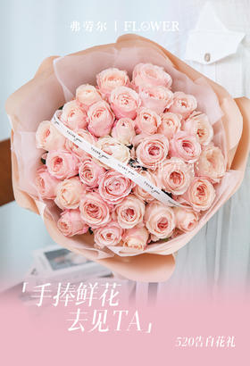 粉调浪漫