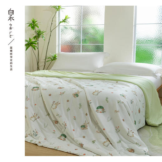 【白禾】25年新款白禾A两用冰冰熊奶芙夏凉被 商品图6