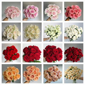 【玫瑰合集】玫瑰选购指南:到货VS绽放