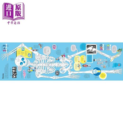 【中商原版】尤斯伯恩大书 人体 Big Book of The Body 英文原版 儿童科普读物 知识百科绘本 进口童书 精装 大开本 有折叠页 商品图1