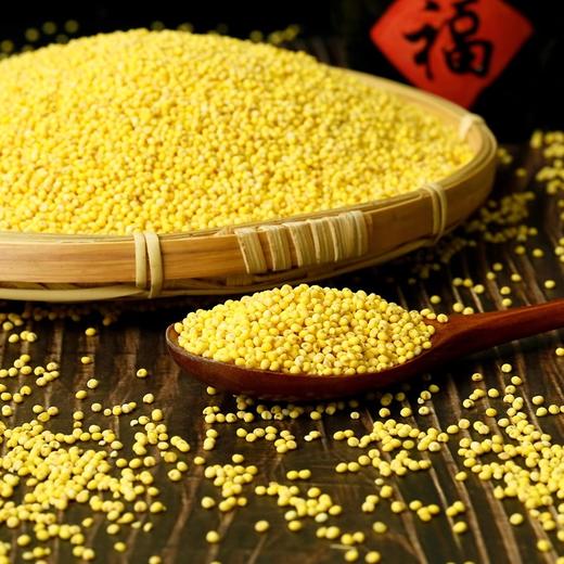 散黄米约1kg/份 商品图0