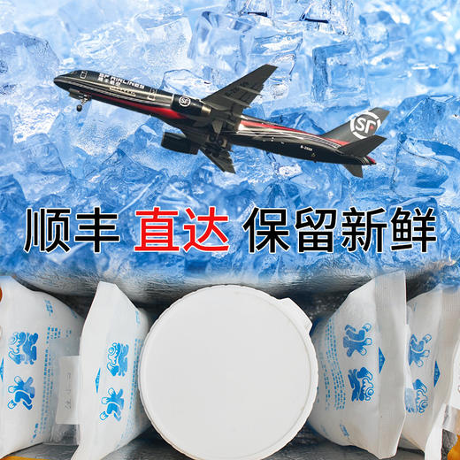 健康营养 蜂王浆500克罐装 三层加厚保温泡沫箱纸箱 顺丰冷运保鲜 商品图5