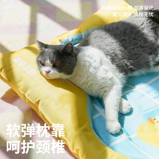 zeze宠物冰床-B(包邮） 商品图3