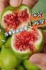头茬新果❗3罐💰69.8❗【女神级芭劳奈无花果】7斤鲜果才能做1斤无花果干‼️   糯叽叽有嚼劲，完全不甜腻~ 商品缩略图7