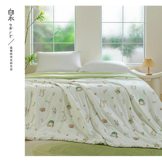 【白禾】25年新款白禾A两用冰冰熊奶芙夏凉被 商品图7