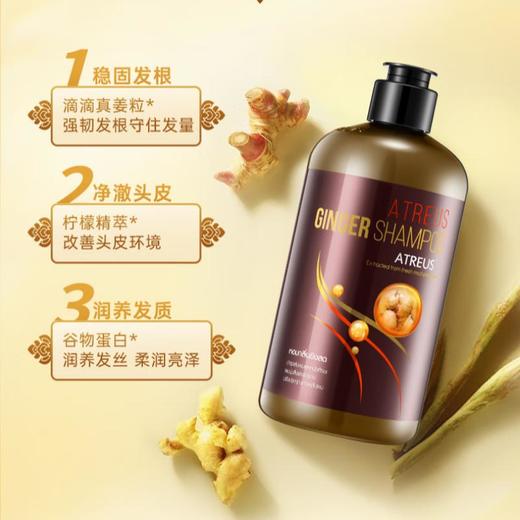 Atreus  泰国生姜洗发水500ml 商品图1