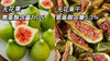 头茬新果❗3罐💰69.8❗【女神级芭劳奈无花果】7斤鲜果才能做1斤无花果干‼️   糯叽叽有嚼劲，完全不甜腻~ 商品缩略图9
