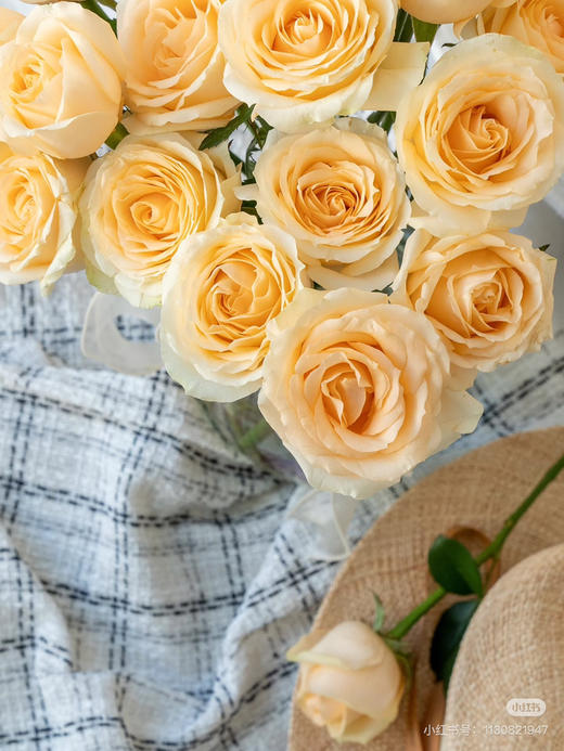 预售8高到货 品质香槟玫瑰一扎10支 支长55厘米 商品图1