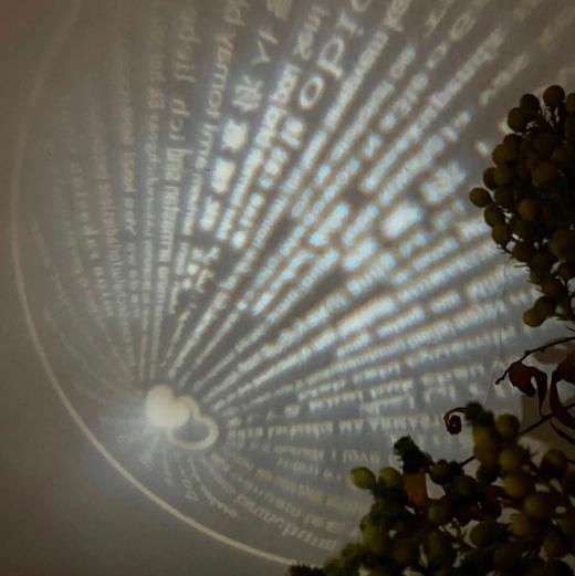 会说话的玫瑰项链｜玫瑰栩栩如生，最美瞬间永久定格 商品图3