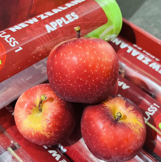 新西兰 红玫瑰试管苹果 1箱5条共约5斤礼盒 商品图3