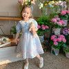 【YW】无忧购儿童装蓝色洛丽塔公主裙连衣裙X8009（截单后3-5天发货) 商品缩略图2