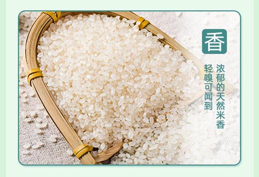 星火5KG生态鸭稻米BN 商品图5
