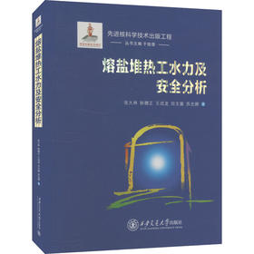熔盐堆热工水力及安全分析