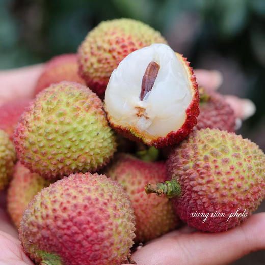 海南·妃子笑荔枝 4斤装 顺丰空运 商品图3