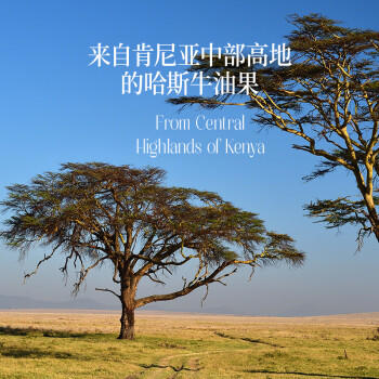 晟麦牛油果油1.5L低温冷榨儿童热炒食用油酪梨油鳄梨油高烟点 /粮油调味 /食用油 /其他油 商品图3