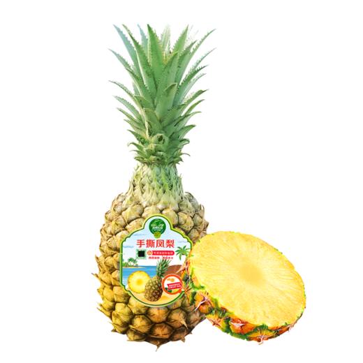 手撕凤梨 约1000g/个 商品图0