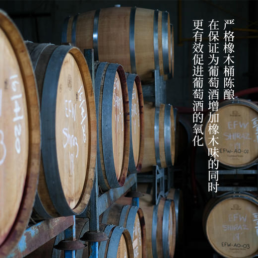 依恋森林2021西拉子干红 商品图2