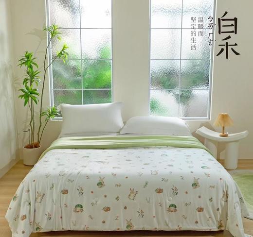 【白禾】25年新款白禾A两用冰冰熊奶芙夏凉被 商品图0