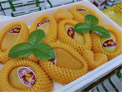 泡沫箱金煌芒一箱 商品图1