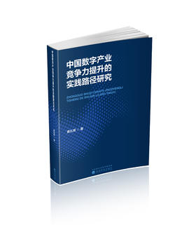 中国数字产业竞争力提升的实践路径研究