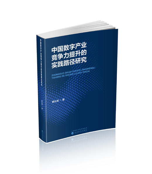 中国数字产业竞争力提升的实践路径研究 商品图0