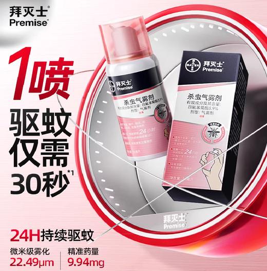 德国拜耳拜灭士杀虫气雾剂 商品图7