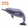 PNSO动物园成长陪伴模型17中华白海豚稀宝 商品缩略图4