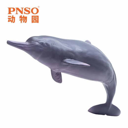 PNSO动物园成长陪伴模型17中华白海豚稀宝 商品图4