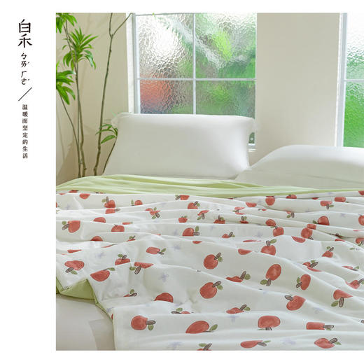 【白禾】25年新款白禾A两用冰冰熊奶芙夏凉被 商品图11