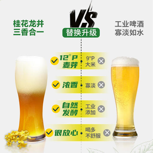 【超值6瓶装】轩博中茶精酿啤酒 原液萃取 酒香浓郁 茉莉/毛尖/桂花龙井 1L*6瓶 商品图7