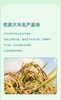 星火5KG生态鸭稻米BN 商品缩略图2