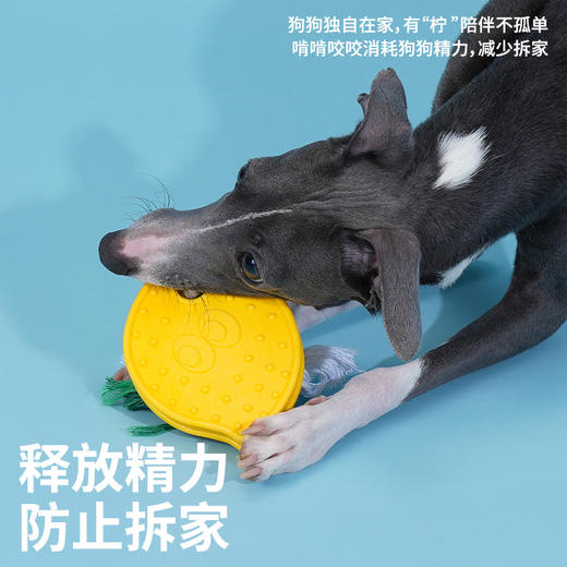 zeze柠檬洁齿咬胶玩具-B(包邮） 商品图3