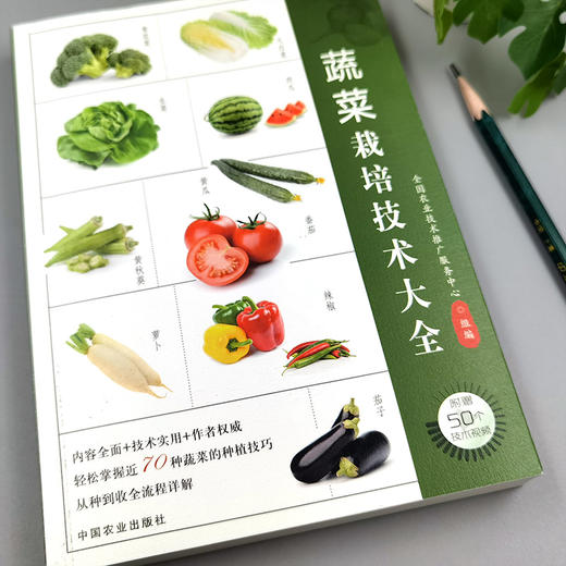 蔬菜栽培技术大全 商品图2