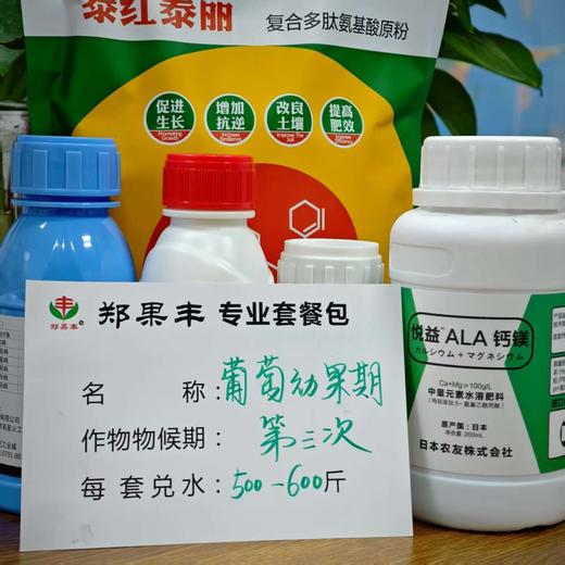 葡萄幼果第三次方案包每套400-500斤水 商品图0