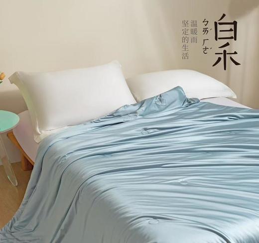 【白禾】25年新款白禾A抗菌冰淇淋凉感夏凉被-大 商品图0
