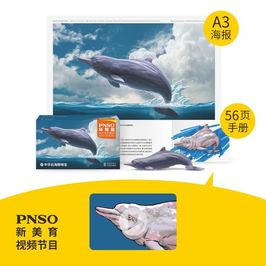 PNSO动物园成长陪伴模型17中华白海豚稀宝 商品图1