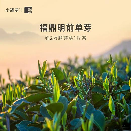 2025年新品小罐茶金罐20罐白毫银针茶 商品图4