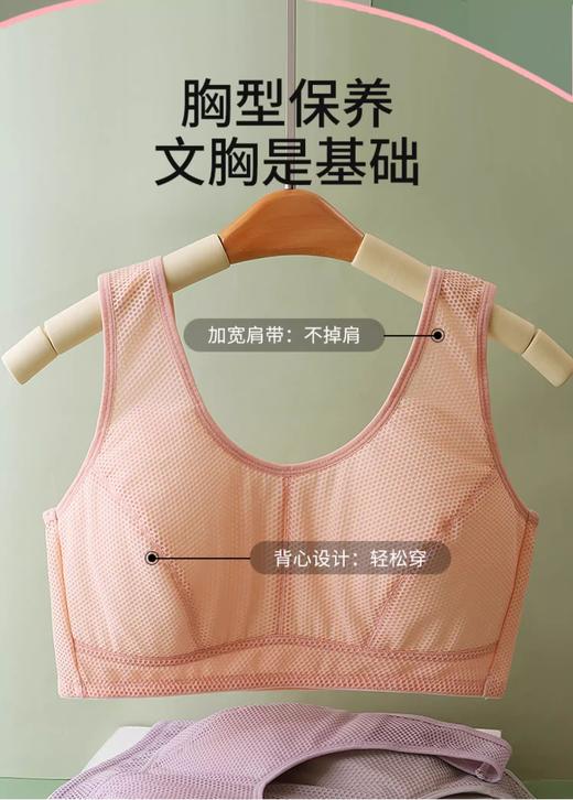 裁缝学苑AS493中老年妈妈文胸纸样防凸点内衣服装样板图纸 商品图4