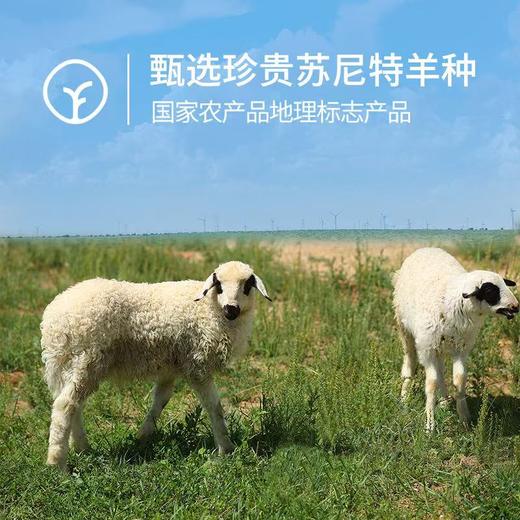 牧北鲜内蒙古有机原切法式羊排 商品图0