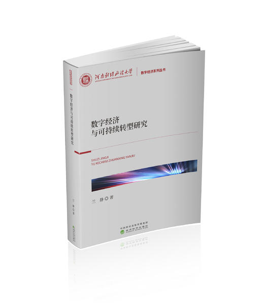 数字经济与可持续转型研究 商品图0