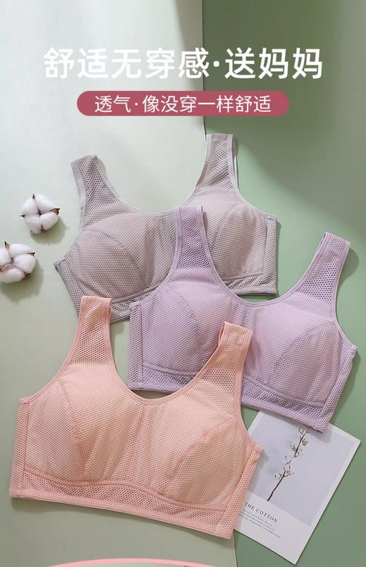 裁缝学苑AS493中老年妈妈文胸纸样防凸点内衣服装样板图纸 商品图5