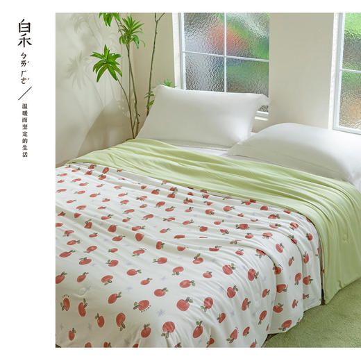 【白禾】25年新款白禾A两用冰冰熊奶芙夏凉被 商品图10