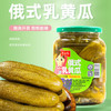 天山红&天山红日东北喀秋莎俄式酸黄瓜670g 酸青瓜 速食汉堡西餐配菜 /粮油调味 /调味品 /榨菜/酱腌菜 商品缩略图1