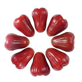 莲雾黑金刚（件）