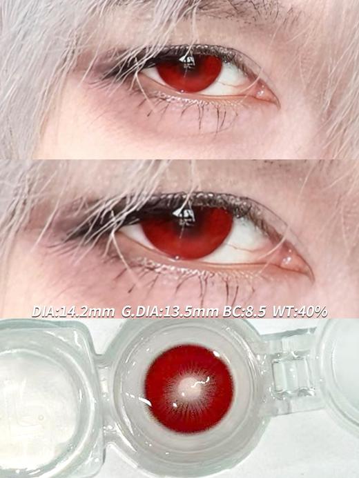 Serltyca 日抛 六片 泣血杜鹃 直径14.2mm着色13.5mm 商品图3