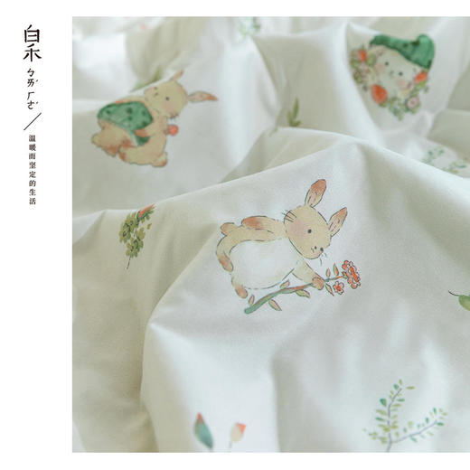 【白禾】25年新款白禾A两用冰冰熊奶芙夏凉被 商品图8