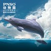 PNSO动物园成长陪伴模型17中华白海豚稀宝 商品缩略图0