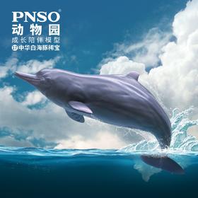 PNSO动物园成长陪伴模型17中华白海豚稀宝