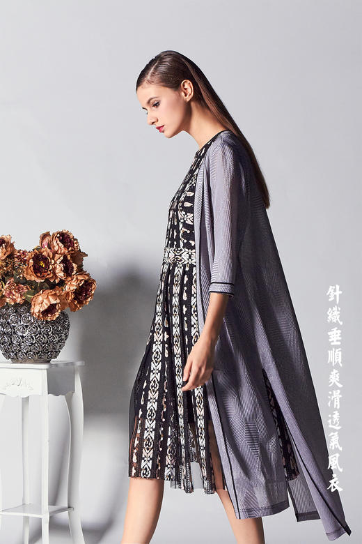 1D6831-灰色风衣--写实与抽象--《智慧之光-波斯艺术》 商品图6