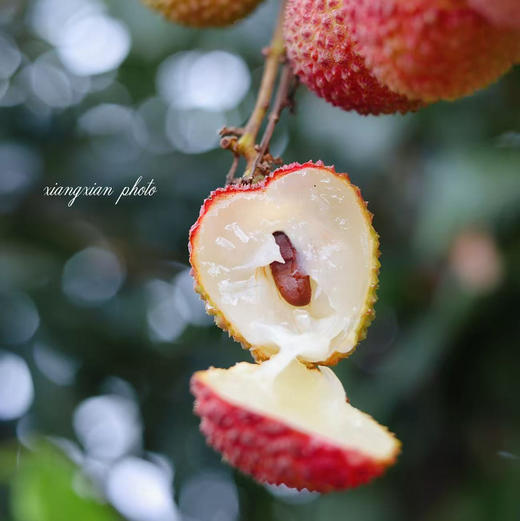 海南·妃子笑荔枝 4斤装 顺丰空运 商品图1